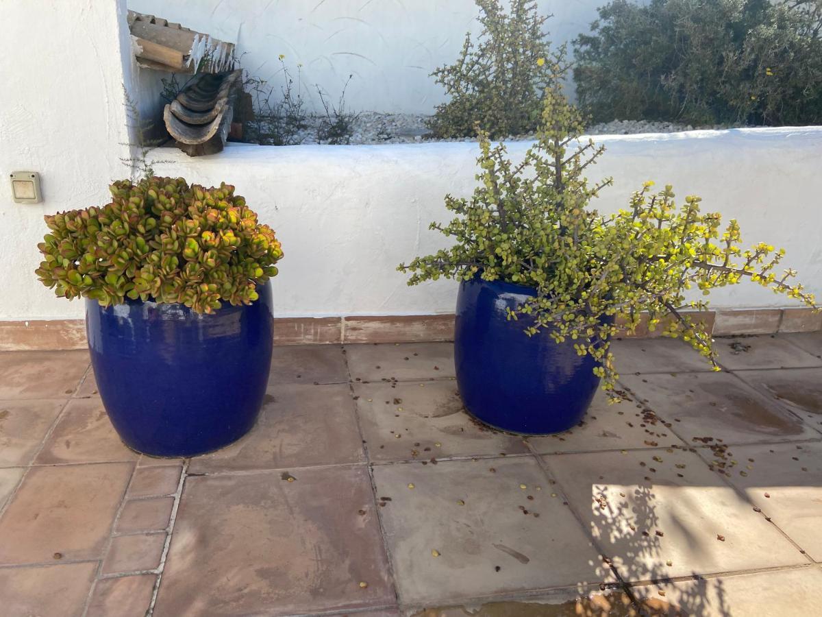Javea Villa Entiere Piscine Et Cuisine D'Ete A Pinosol Экстерьер фото